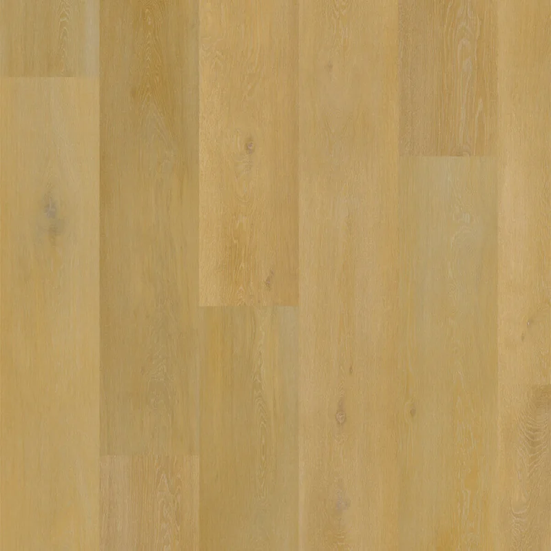 Aspecta Excellence IC55 Onega XL Plank 8476539X Lage Kosten